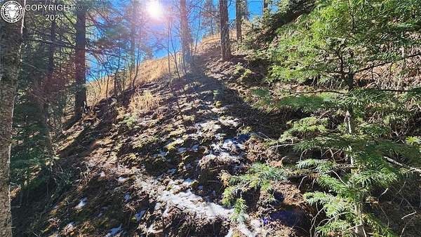 0.11 Acres of Land for Sale in Rye, Colorado