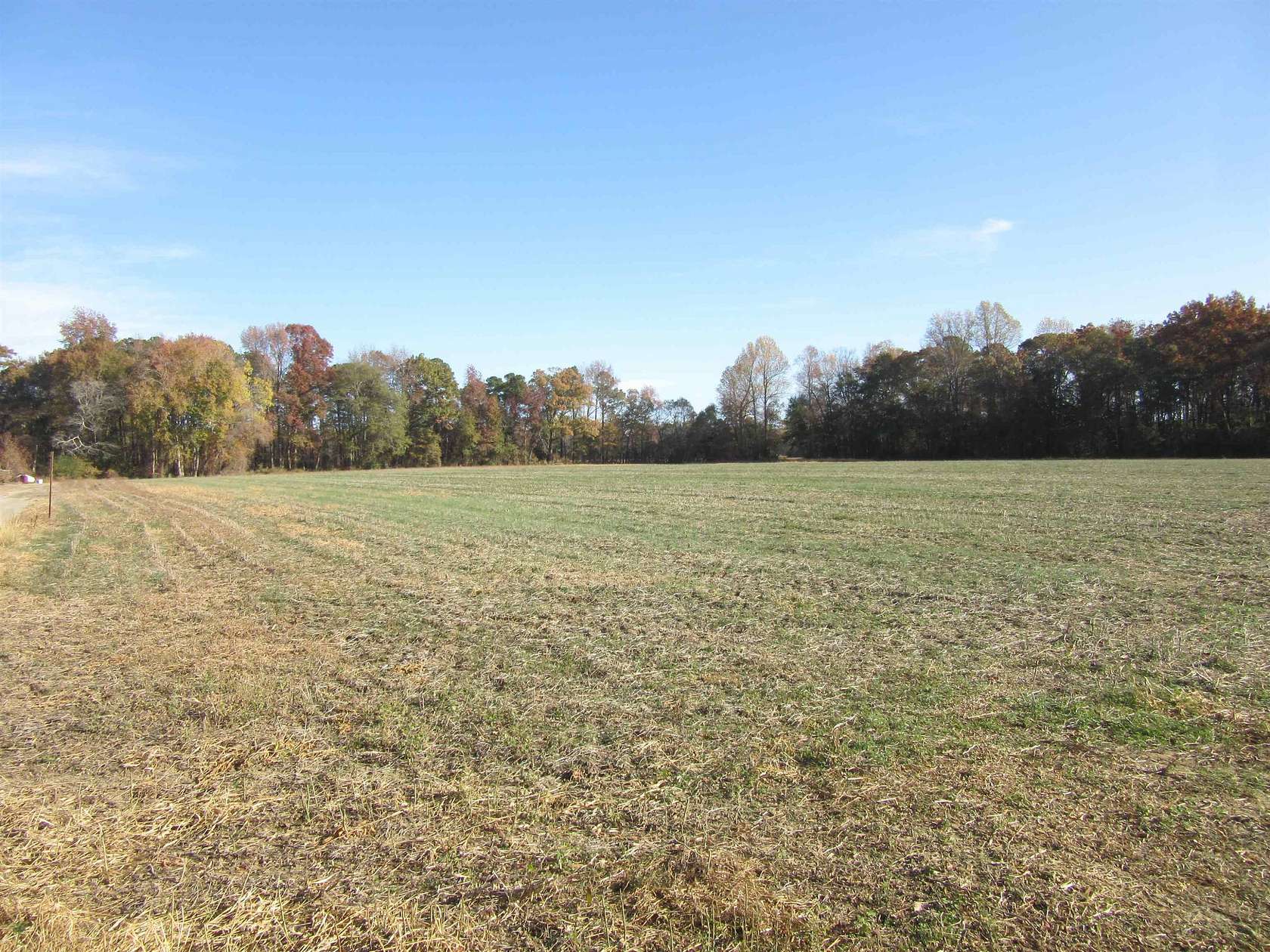 14.8 Acres of Land for Sale in Kenly, North Carolina