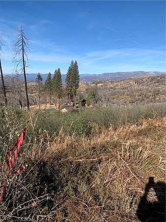 5 Acres of Residential Land for Sale in Shaver Lake, California