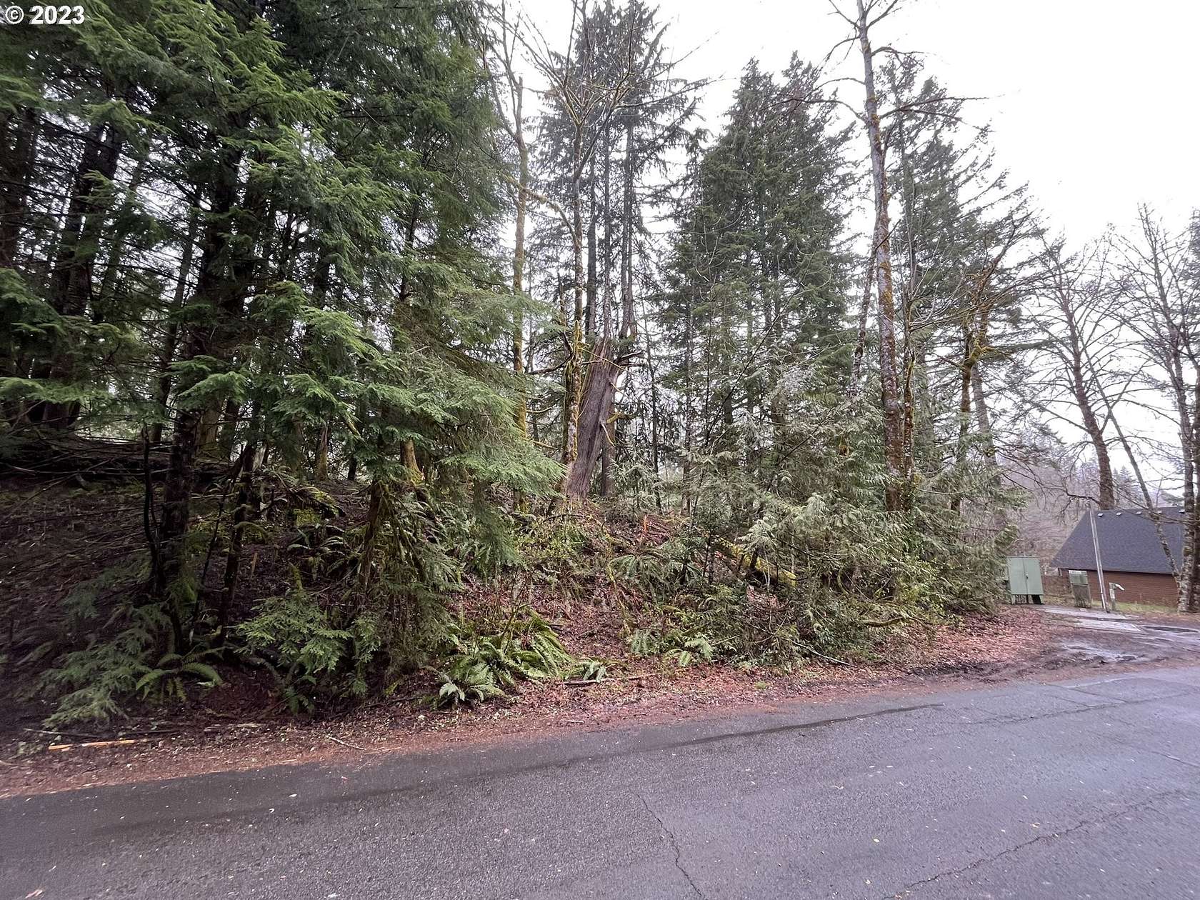 0.24 Acres of Residential Land for Sale in Rhododendron, Oregon