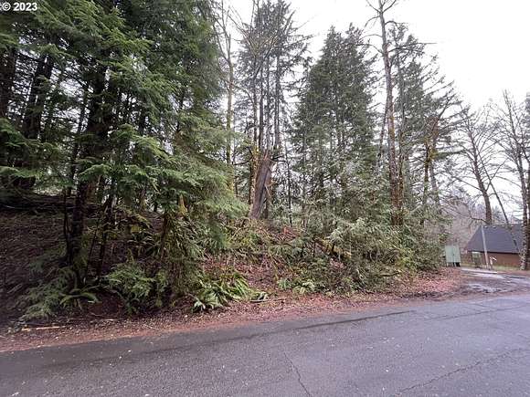 0.24 Acres of Residential Land for Sale in Rhododendron, Oregon