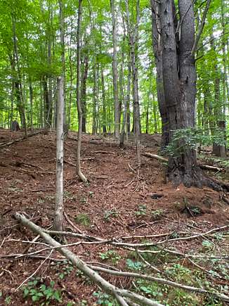 12.4 Acres of Recreational Land for Sale in Portageville, New York