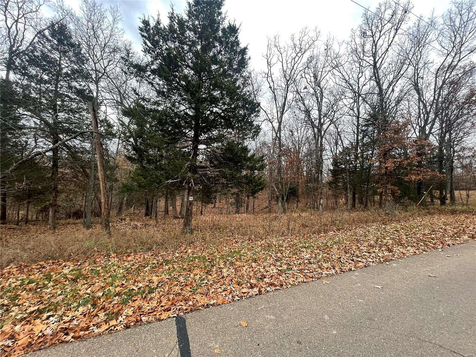 0.99 Acres of Residential Land for Sale in Perryville, Missouri