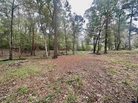 1 Acre of Residential Land for Sale in Nacogdoches, Texas