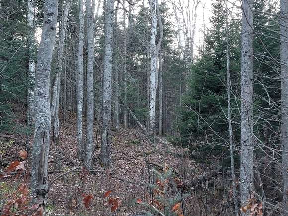 1 Acre of Residential Land for Sale in Stratton, Maine