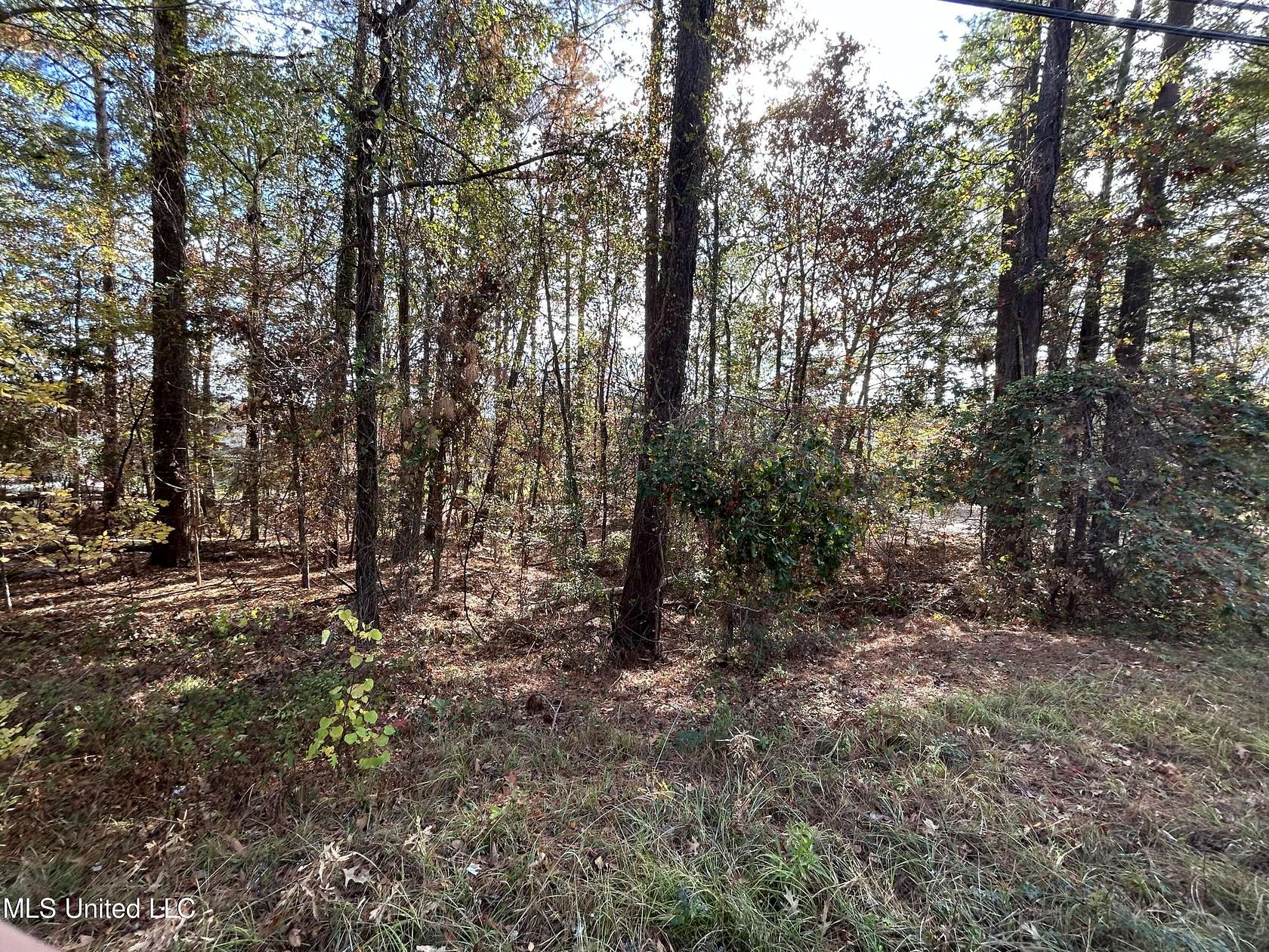 0.56 Acres of Residential Land for Sale in Madison, Mississippi