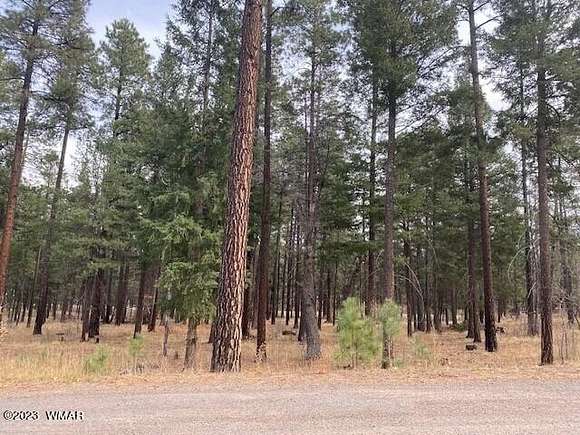 0.52 Acres of Residential Land for Sale in Alpine, Arizona