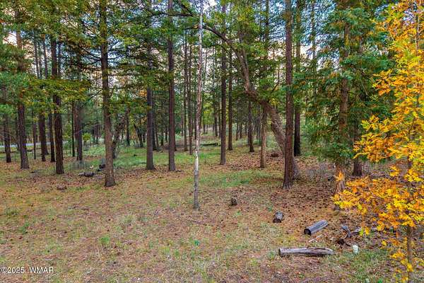 0.52 Acres of Residential Land for Sale in Alpine, Arizona