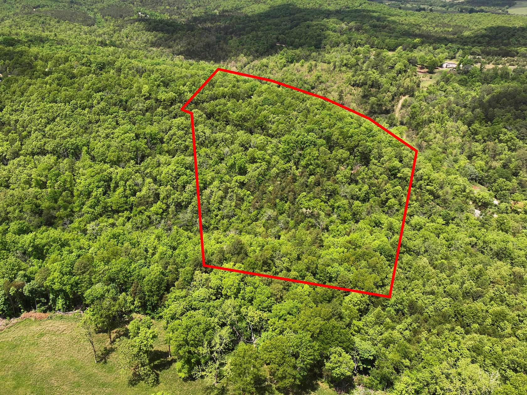21.8 Acres of Land for Sale in Omaha, Arkansas