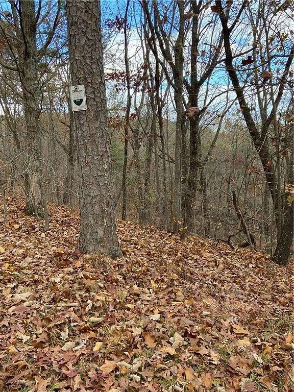 1 Acre of Residential Land for Sale in Ranger, Georgia
