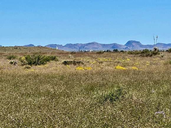 119 Acres of Agricultural Land for Sale in Marfa, Texas