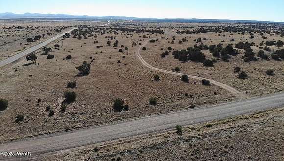 5 Acres of Residential Land for Sale in Concho, Arizona