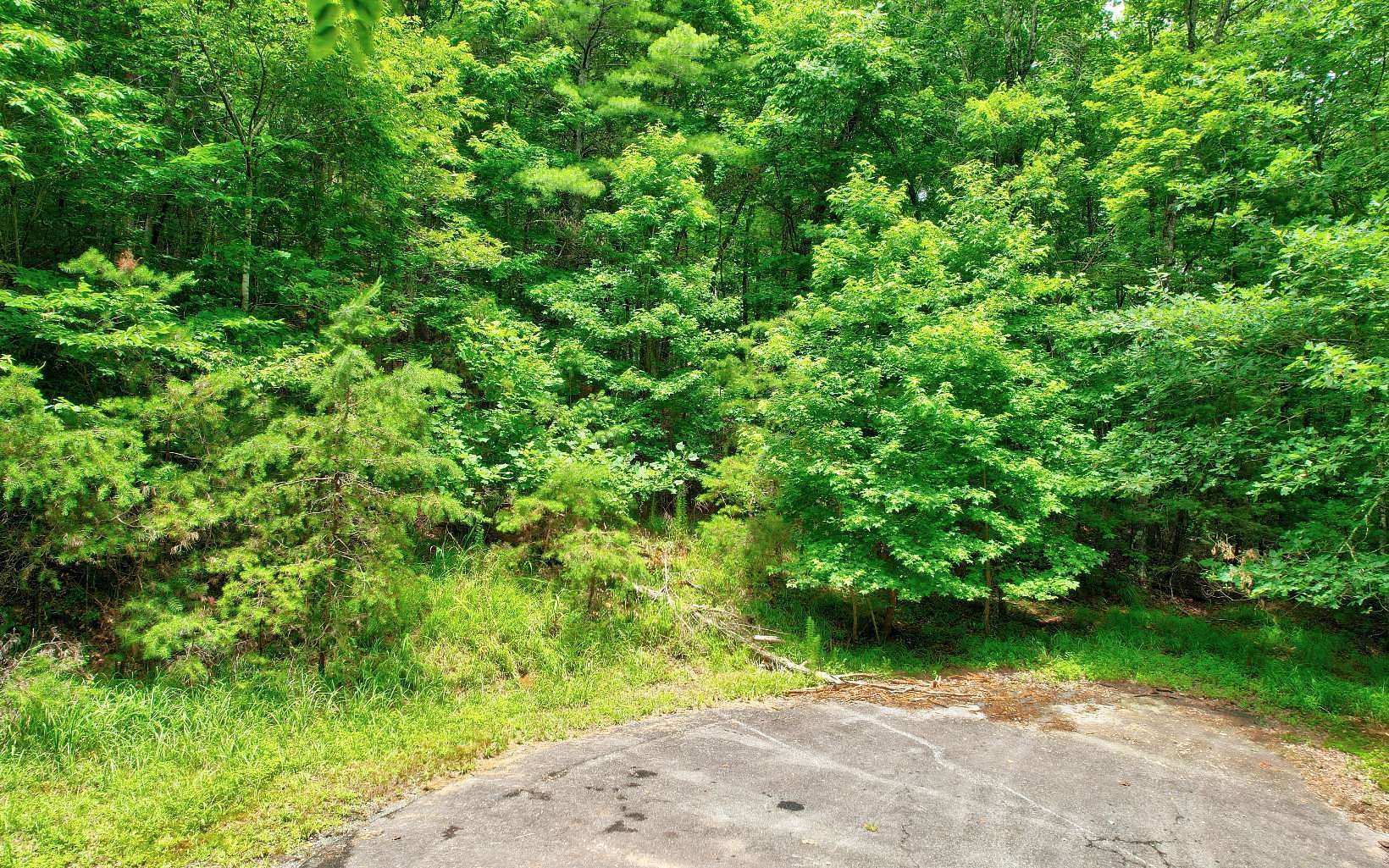 0.87 Acres of Land for Sale in Ellijay, Georgia
