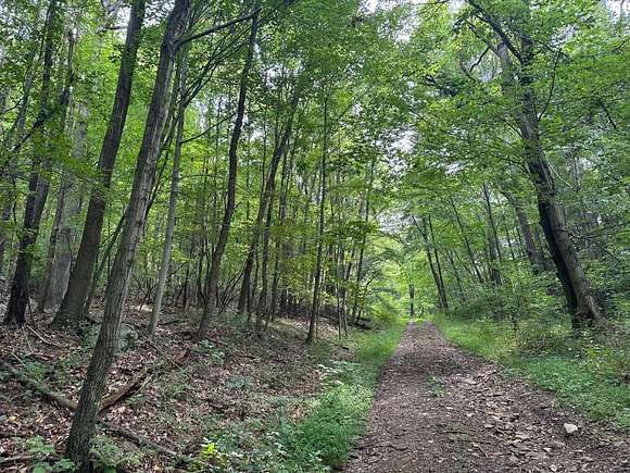 60 Acres of Recreational Land for Sale in Cherry Tree, Pennsylvania
