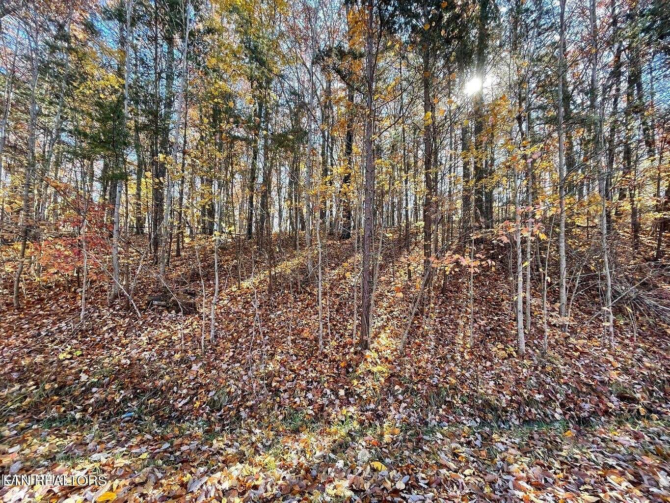 0.82 Acres of Land for Sale in Crossville, Tennessee