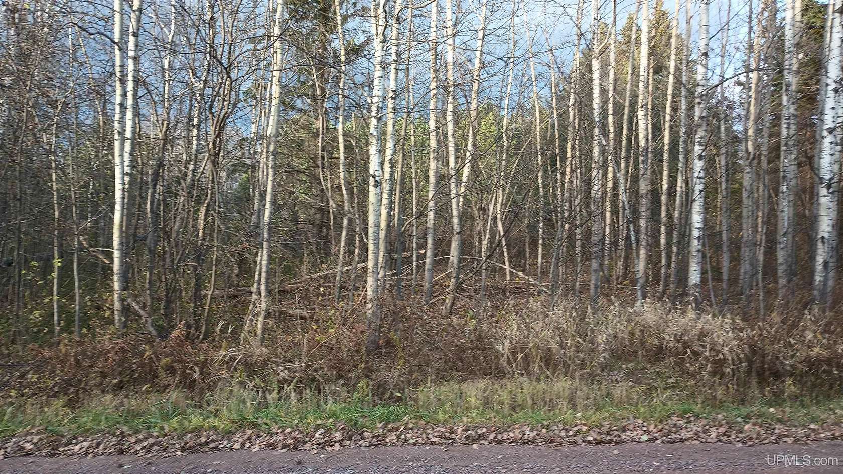 0.65 Acres of Residential Land for Sale in Bessemer, Michigan