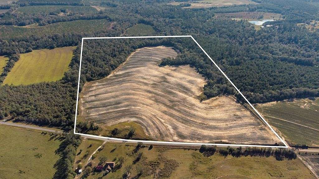 69.3 Acres of Agricultural Land for Sale in Pansey, Alabama