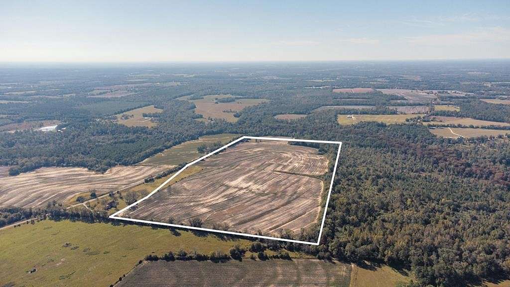 79.1 Acres of Agricultural Land for Sale in Pansey, Alabama