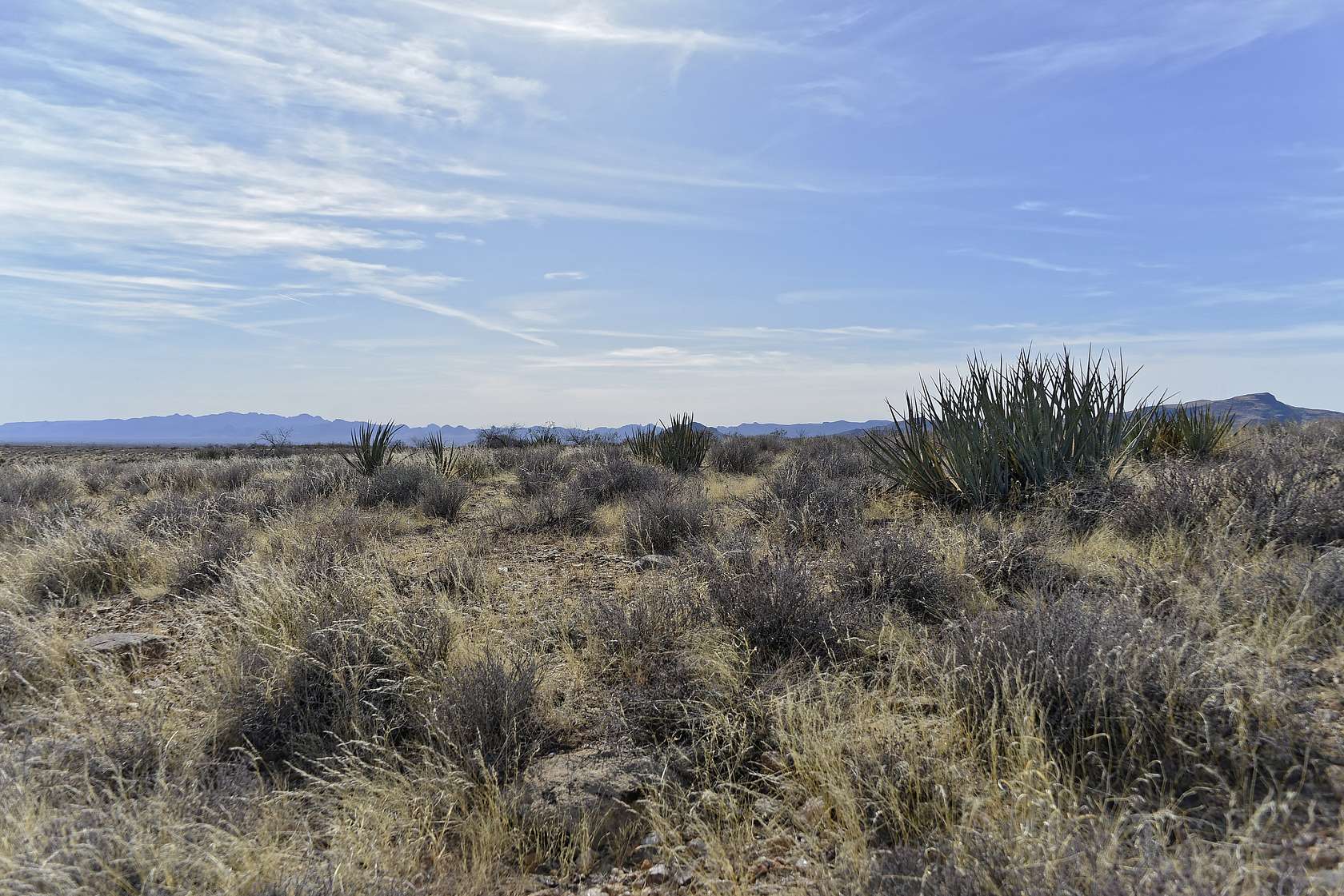 1 Acre of Residential Land for Sale in Hackberry, Arizona