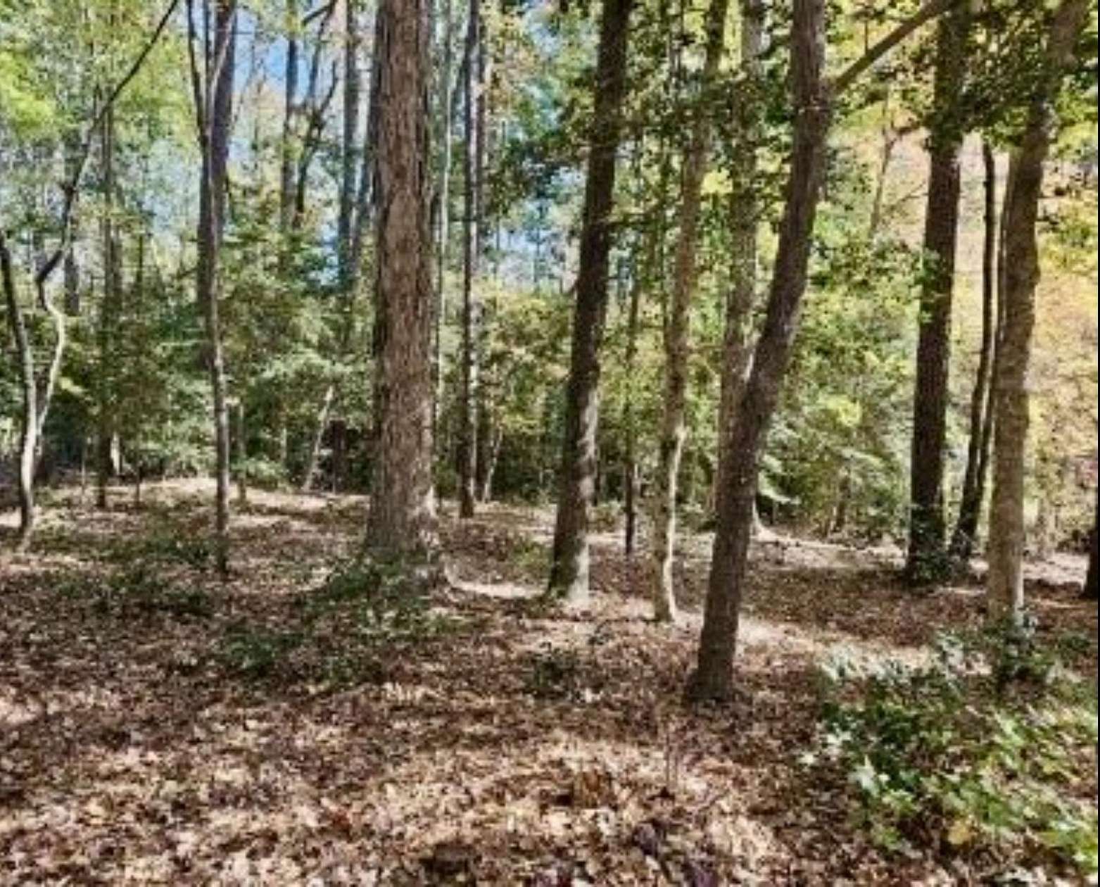 0.68 Acres of Residential Land for Sale in Sanford, North Carolina