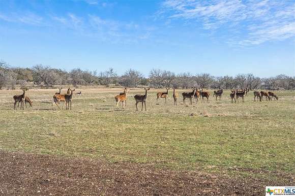 5.2 Acres of Residential Land for Sale in Kempner, Texas