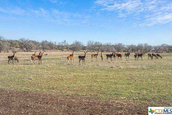 5.18 Acres of Residential Land for Sale in Kempner, Texas