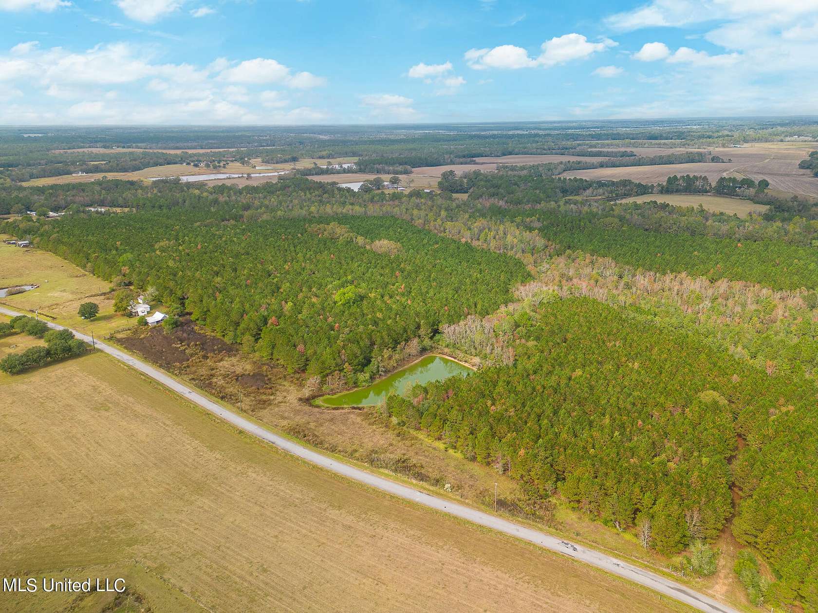 80 Acres of Land for Sale in Perkinston, Mississippi