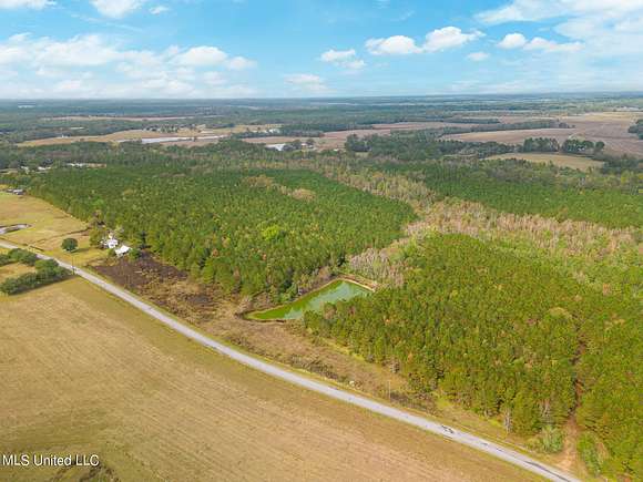 40 Acres of Land for Sale in Perkinston, Mississippi