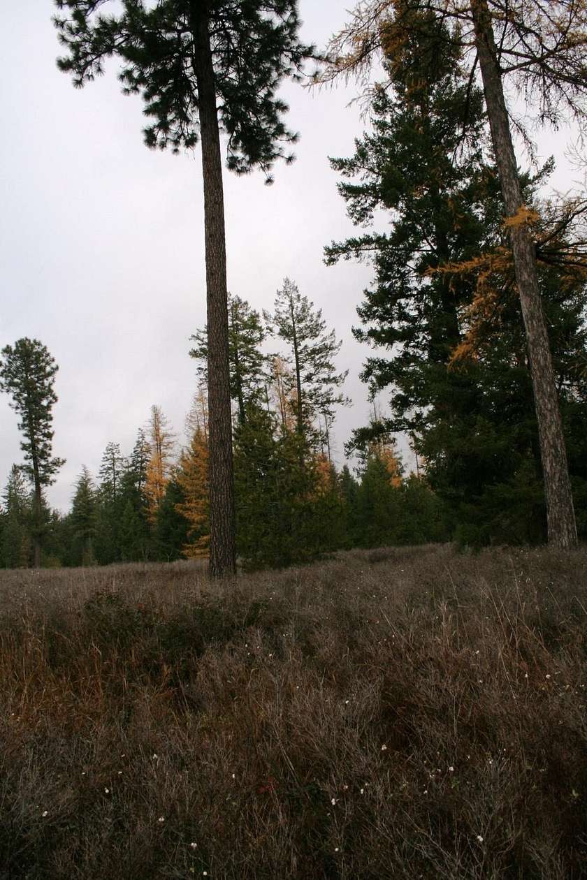 10 Acres of Land for Sale in Deer Park, Washington