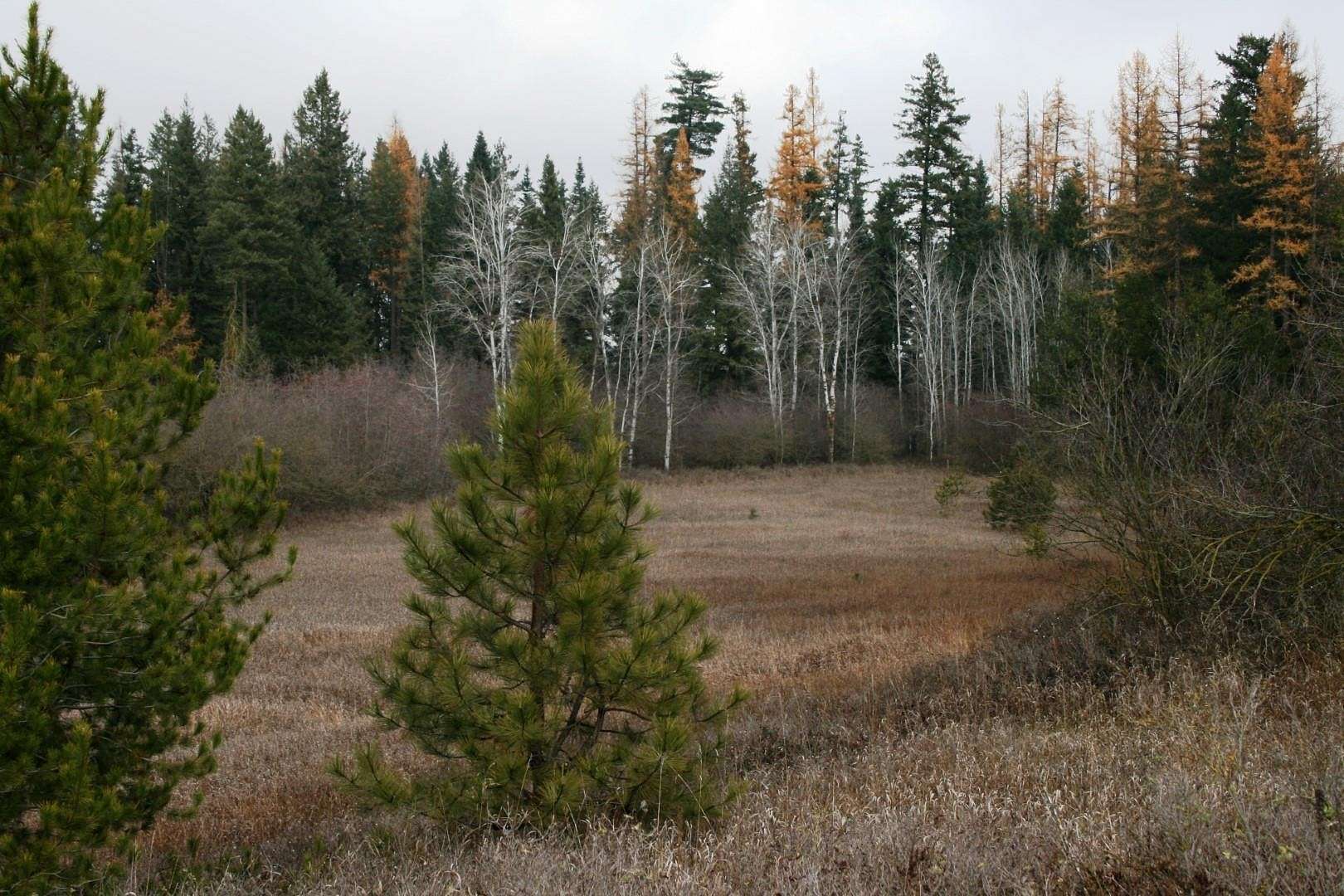 10 Acres of Land for Sale in Deer Park, Washington