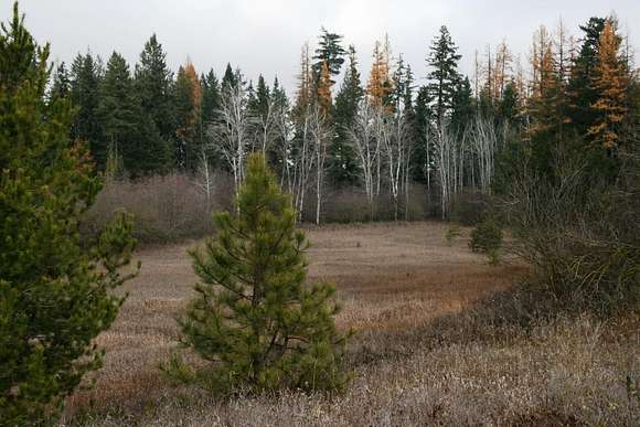 10 Acres of Land for Sale in Deer Park, Washington