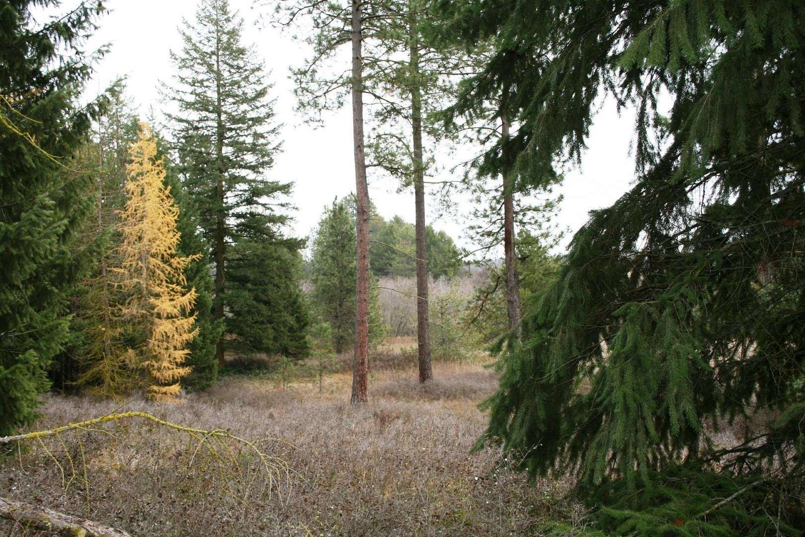 10 Acres of Land for Sale in Deer Park, Washington