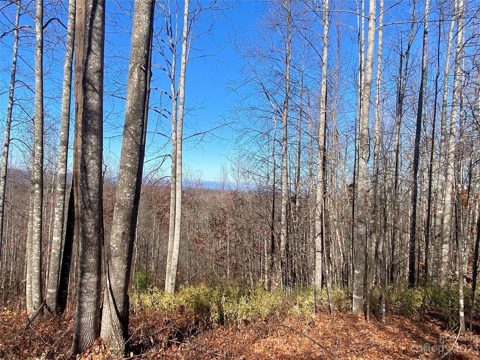 1.5 Acres of Land for Sale in Nebo, North Carolina