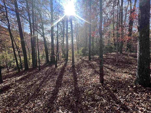 0.75 Acres of Residential Land for Sale in Jackson, Tennessee