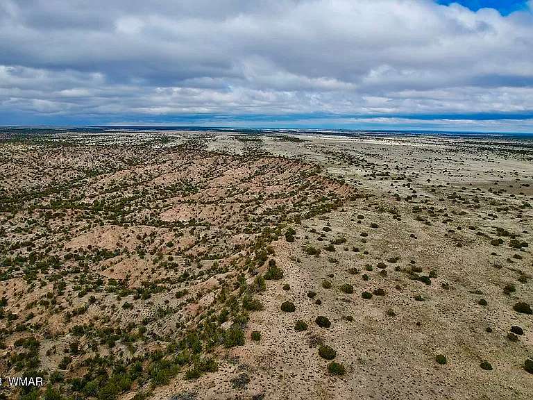 83.4 Acres of Land for Sale in St. Johns, Arizona