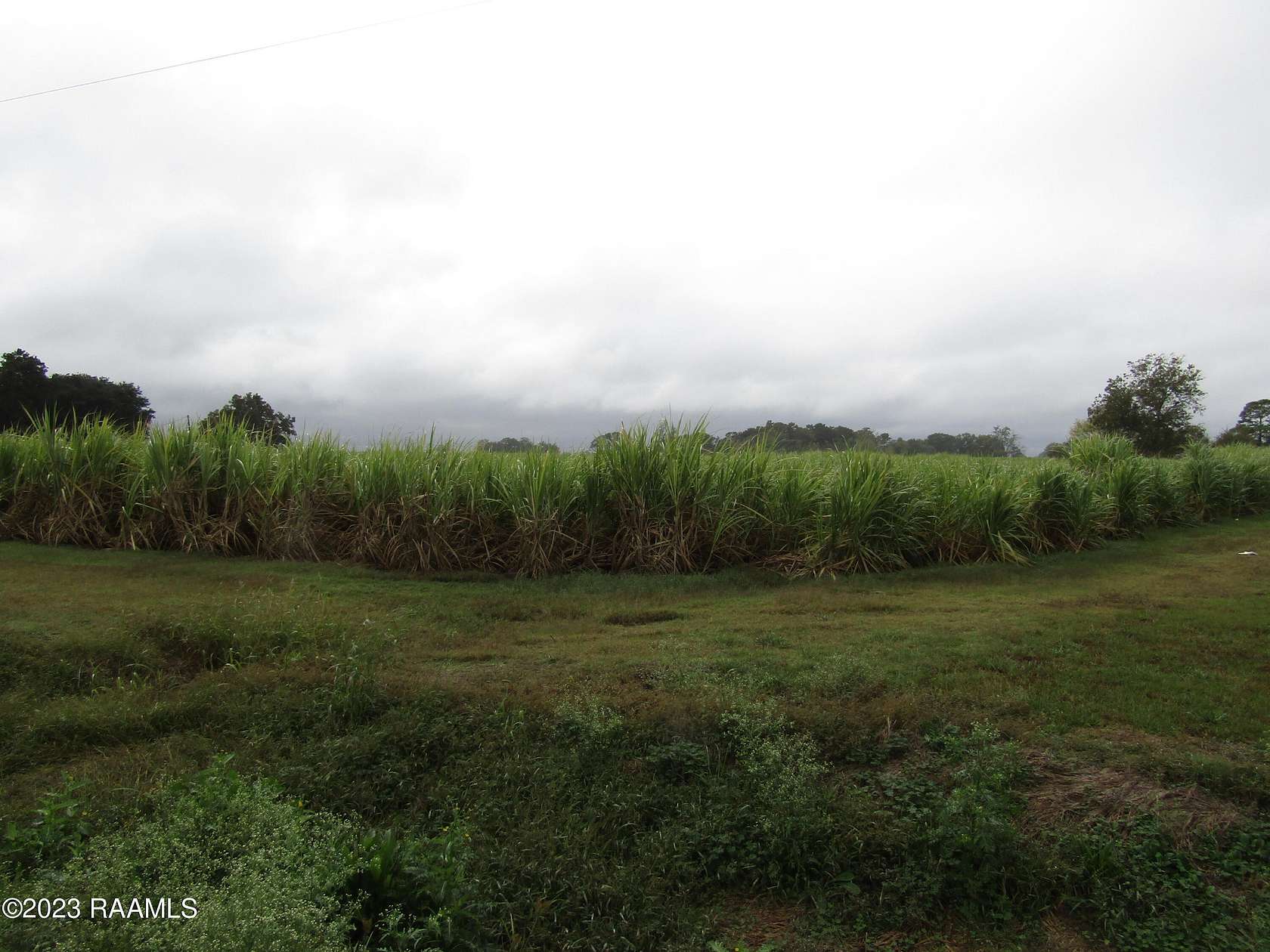 4.24 Acres of Residential Land for Sale in Jeanerette, Louisiana