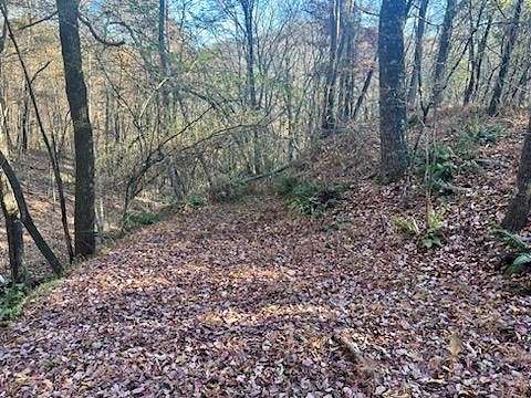 40.6 Acres of Land for Sale in Turtletown, Tennessee