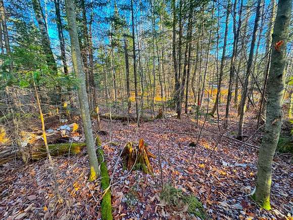 0.5 Acres of Residential Land for Sale in Warren, Vermont