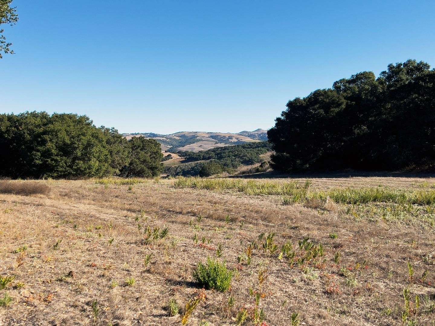 52 Acres of Agricultural Land for Sale in Carmel-by-the-Sea, California