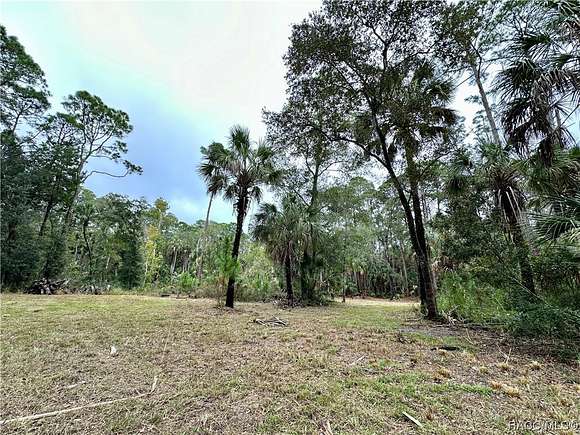 5.82 Acres of Residential Land for Sale in Yankeetown, Florida