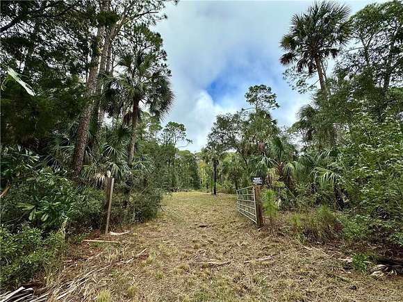 5.8 Acres of Residential Land for Sale in Yankeetown, Florida