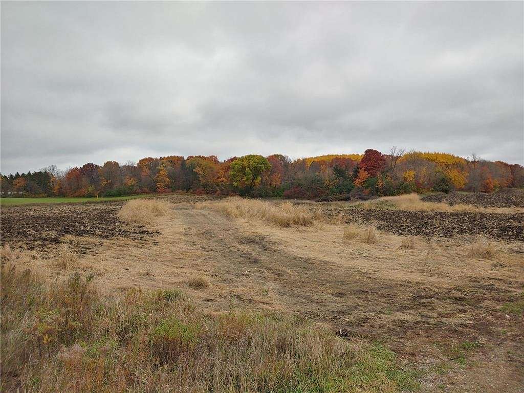 10 Acres of Residential Land for Sale in Maple Lake Township, Minnesota