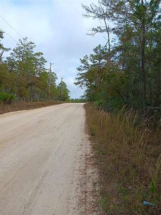 3 Acres of Residential Land for Sale in Dunnellon, Florida