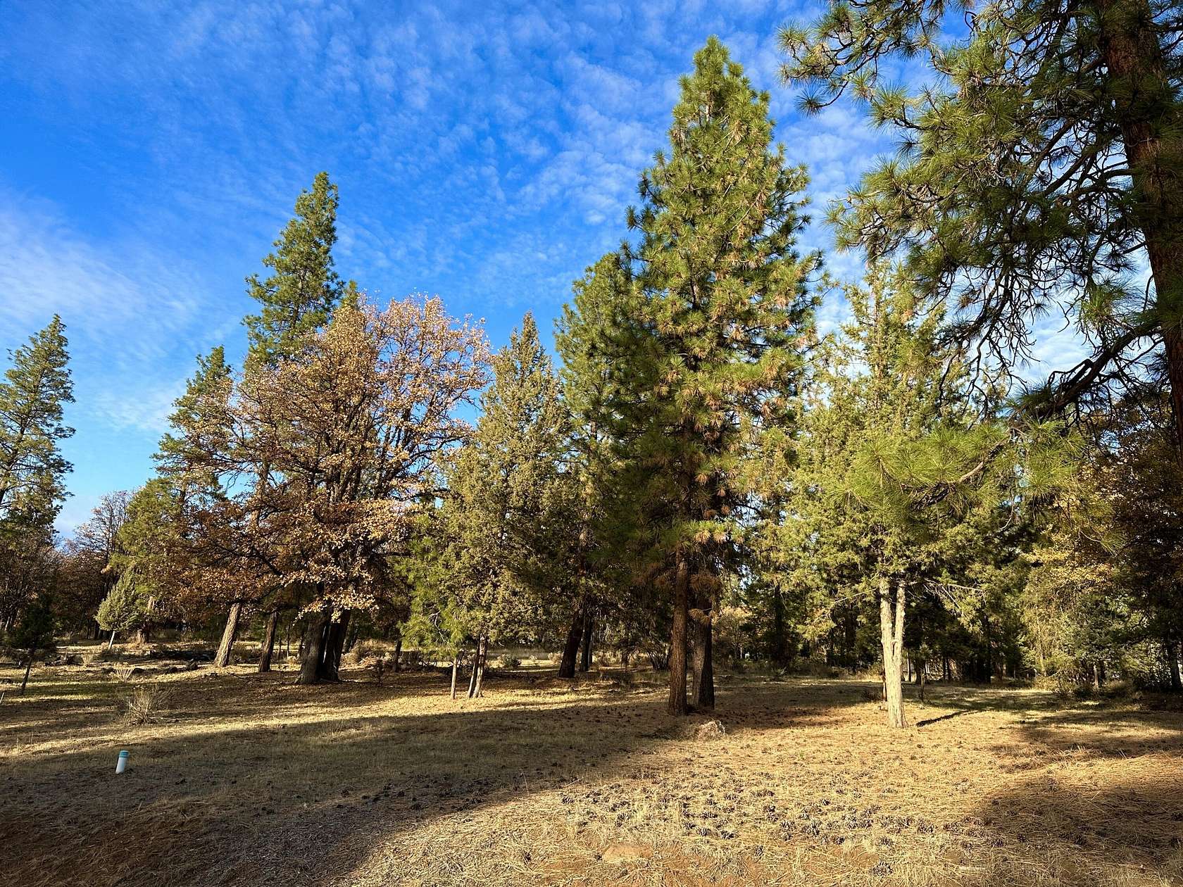 0.5 Acres of Residential Land for Sale in Klamath Falls, Oregon