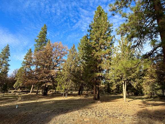 0.5 Acres of Residential Land for Sale in Klamath Falls, Oregon