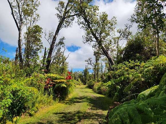 3 Acres of Residential Land with Home for Sale in Volcano, Hawaii