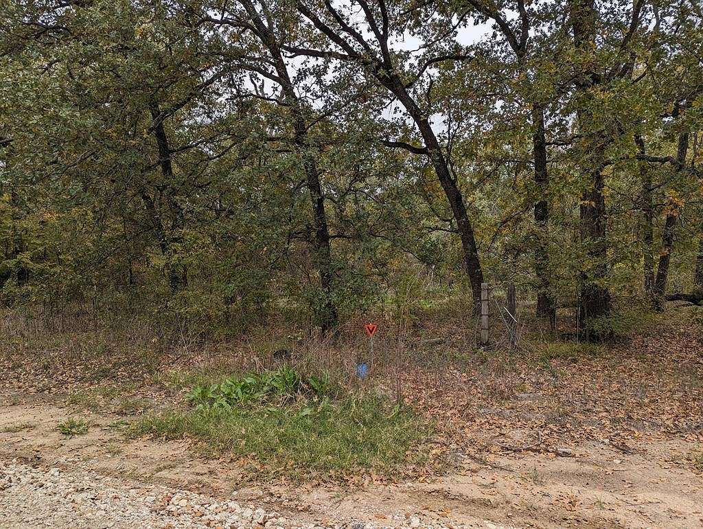 0.5 Acres of Mixed-Use Land for Sale in Trinidad, Texas