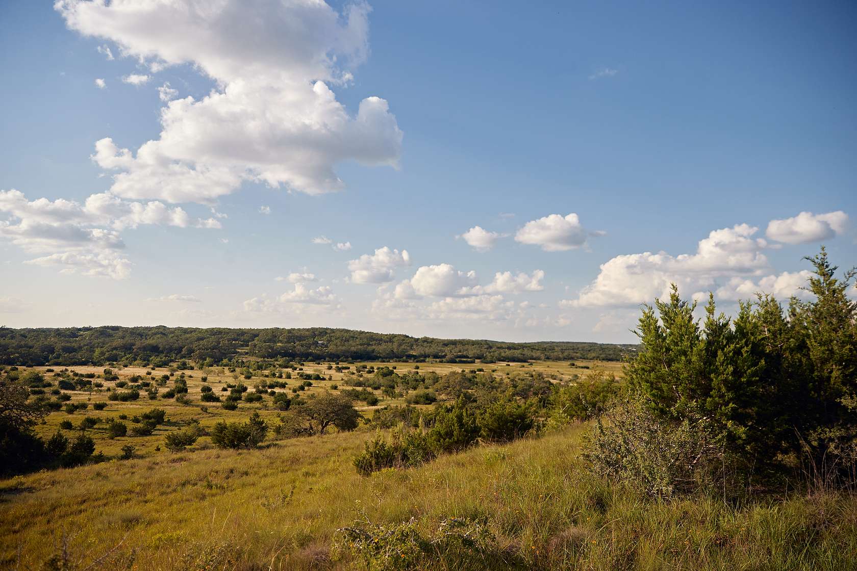 485 Acres of Recreational Land & Farm for Sale in Fischer, Texas