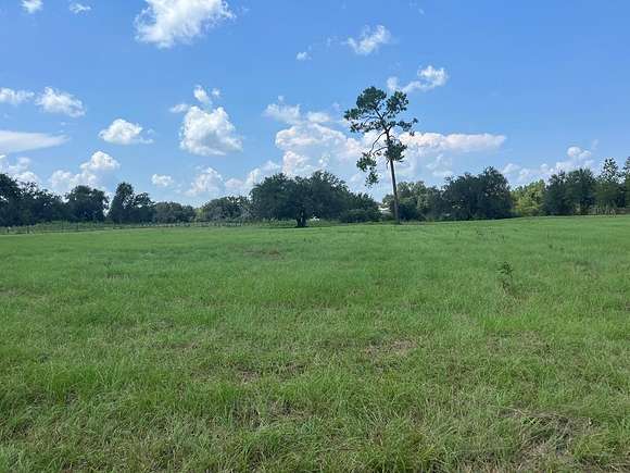6 Acres of Commercial Land for Sale in Colquitt, Georgia
