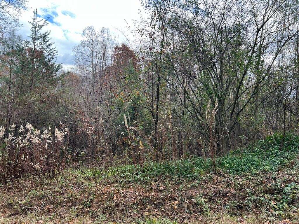 0.82 Acres of Residential Land for Sale in Calhoun, Tennessee